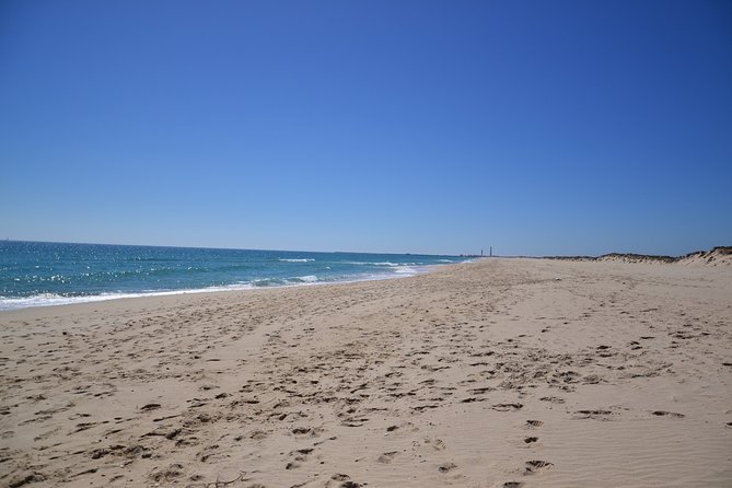 Ria Formosa & Islands : 2h00 Private Tour of Ria Formosa - Should you book this private tour of Ria Formosa and islands?