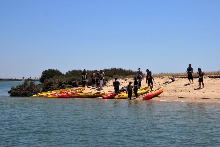 Ria Formosa National Park: Kayak Trip - Marshes and islets: the working landscape plus the quiet wildlife