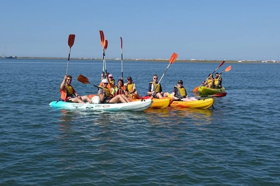 Ria Formosa National Park: Kayak Trip - What spotting wildlife feels like when someone is pointing it out