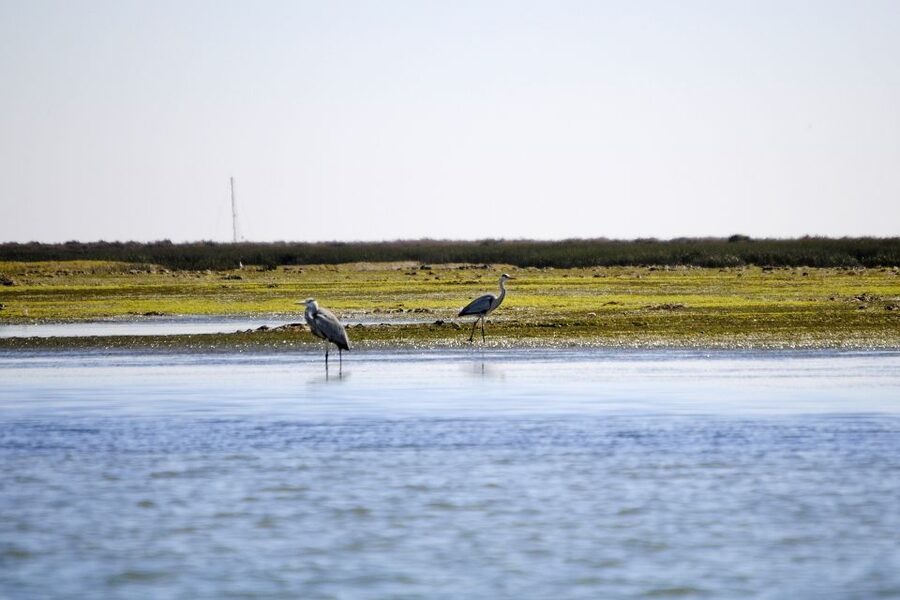 Ria Formosa National Park: Kayak Trip - Timing, group energy, and what 2 hours actually means