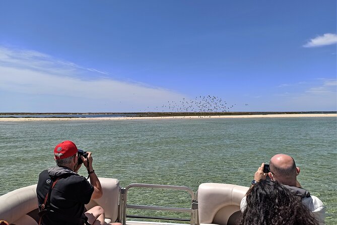 Ria Formosa Natural Park and Islands Boat Cruise from Faro - Ria Formosa From Faro: A lagoon that changes by the hour