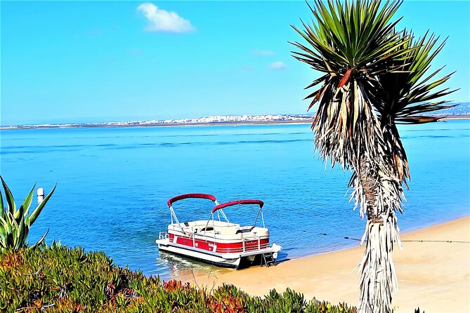 Ria Formosa Natural Park and Islands Boat Cruise from Faro - Stop 1: Barreta Island dunes, fauna, and the Portugal swim moment
