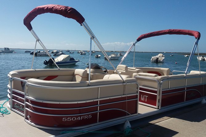 Ria Formosa Natural Park and Islands Boat Cruise from Faro - Stop 2: Ria Formosa Natural Park, tides, and bird names you can keep