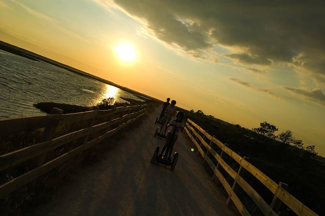 Ria Formosa Natural Park Birdwatching Segway Tour from Faro - Birdwatching with binoculars: how to make your scan count