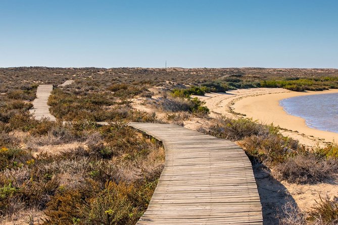 Ria Formosa: Private Boat Rental (from 2 to 8 hours) - Barreta Island: nature and beach time without the big-city feel