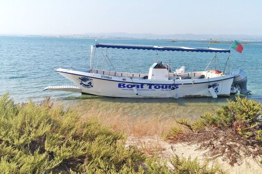 Ria Formosa: Sightseeing boat Tour from Olhão - Natural Park context you can actually use while you see the lagoon