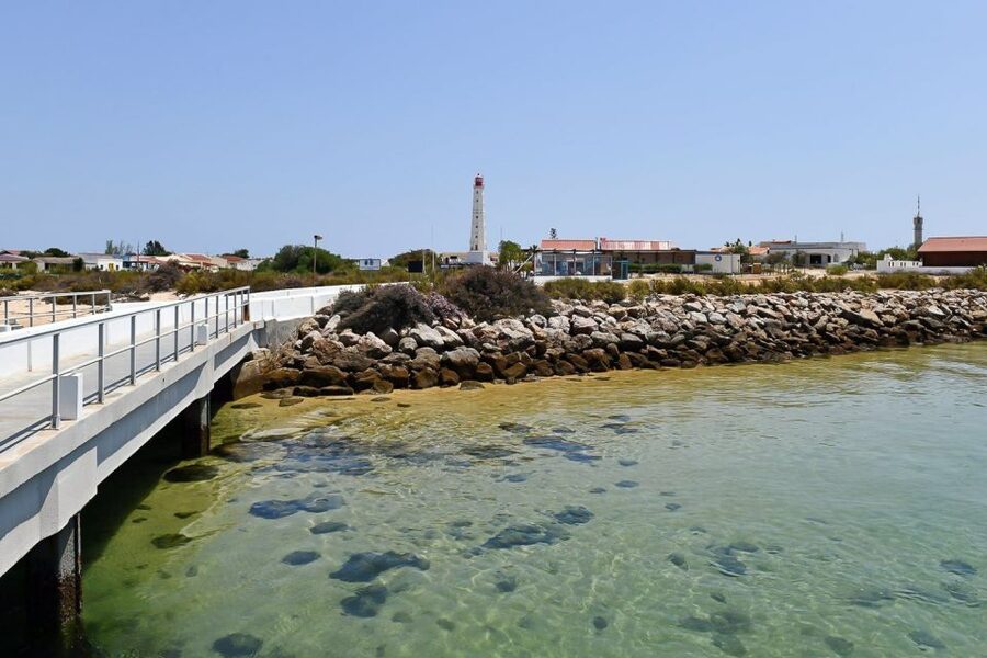 Ria Formosa: Sightseeing boat Tour from Olhão - Customizing your private route with your skipper