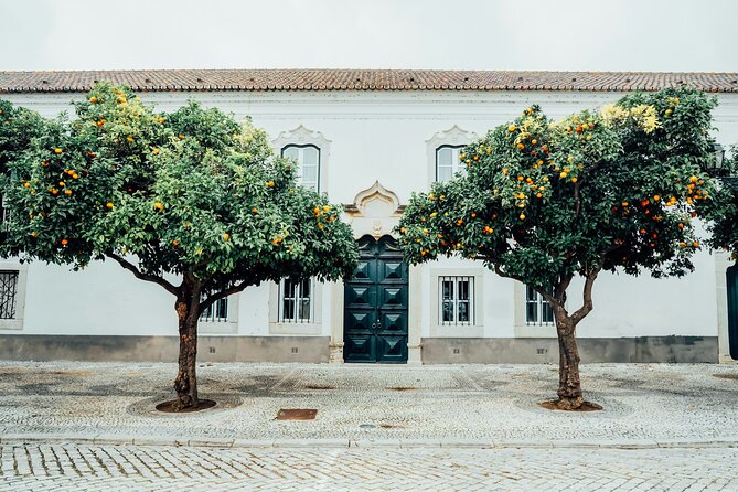 Romantic Faro: Whisper of Love Exploration Game and Tour - Museu Municipal De Faro: a natural pause in the route
