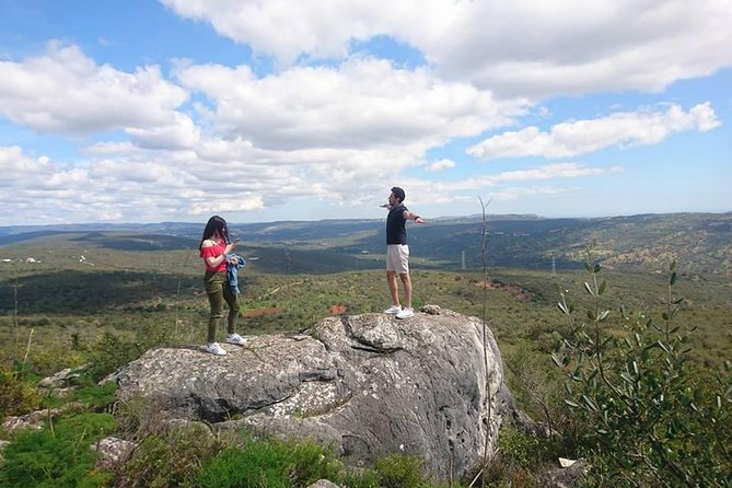 Safari & Boat Tour - Mountains & Dolphins - Key points to know before you go