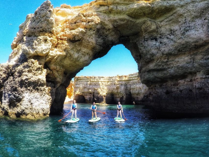 Safari & Kayaking - Viewpoints and Guided Stops: Where the Photos Actually Happen
