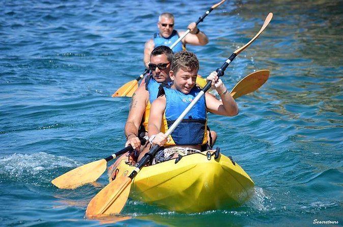 Safari & Kayaking Tour - Price, pickup, and group size: is it good value?