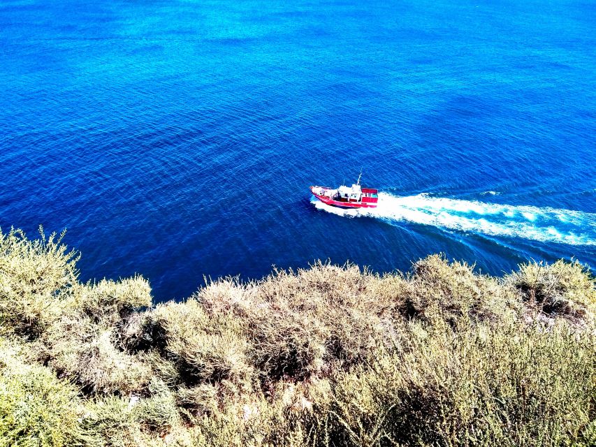 Sagres & Cape St. Vincent Half-Day Tour from Lagos - Price and value for a 69-dollar half day