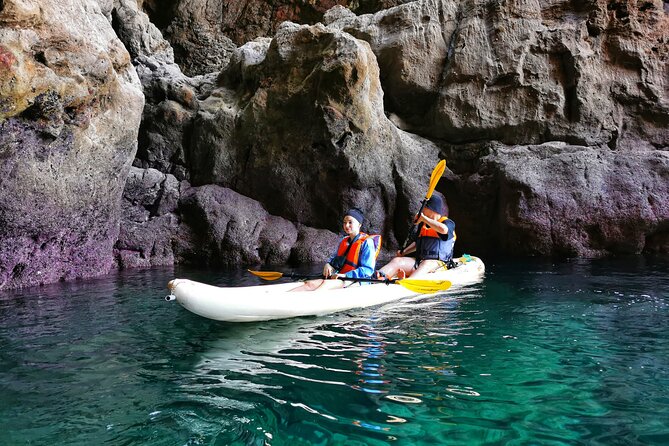 Sagres: Praia Da Ingrina Caves Guided Kayaking Tour - The guide role: explanations that make the rocks and wildlife click