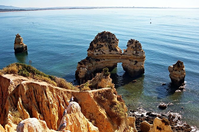 Sail, Swim & Tapas - The Ponta da Piedade Cave Visit: Small Boat, Big Closeness