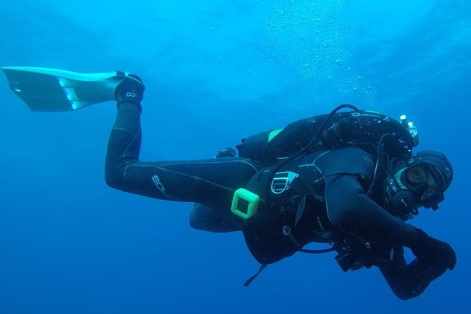 Scuba Diving Albufeira-Double Dive Trip - Key things that make this Albufeira scuba trip worth it