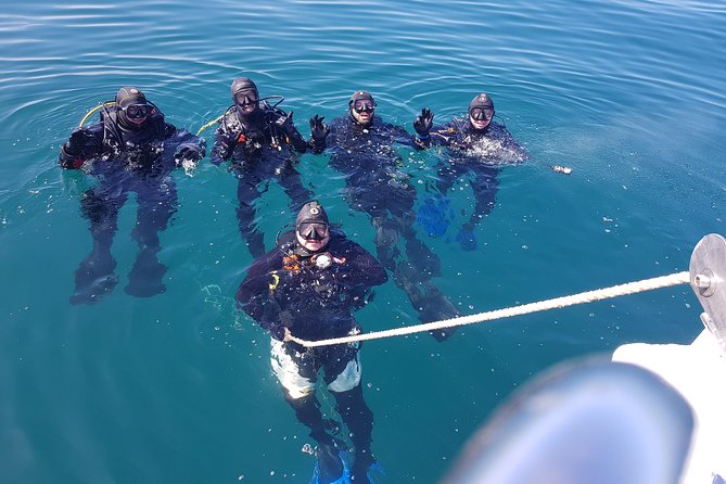 Scuba Diving Albufeira-Double Dive Trip - Albufeira’s Easydivers Double Trip: what you’re really paying for