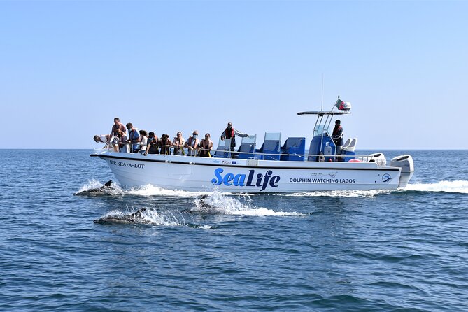 Sealife Sea Safari, Dolphin Watching with Marine Biologist's Lagos - Key highlights to know before you go