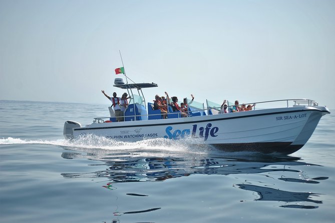 Sealife Sea Safari, Dolphin Watching with Marine Biologist's Lagos - Lagos dolphin watching, timed for a fun 1.5 hours