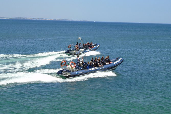 Sealife Sea Safari, Dolphin Watching with Marine Biologist's Lagos - Price, booking timing, and what $48.39 buys you
