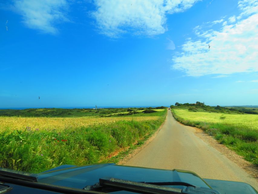 Serra de Monchique & Bravura Half Day Off-Road Day Trip - The 900m viewpoint: the moment Algarve changes shape