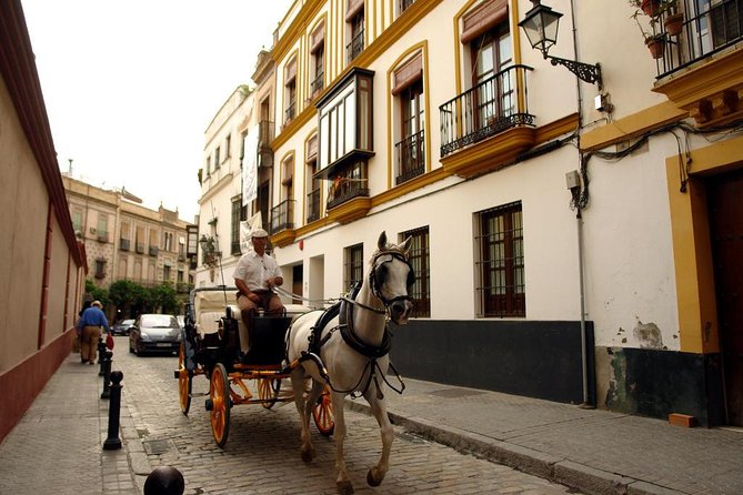 Seville Day Trip from the Algarve - Price and value: when $79.22 makes sense and when it doesn’t