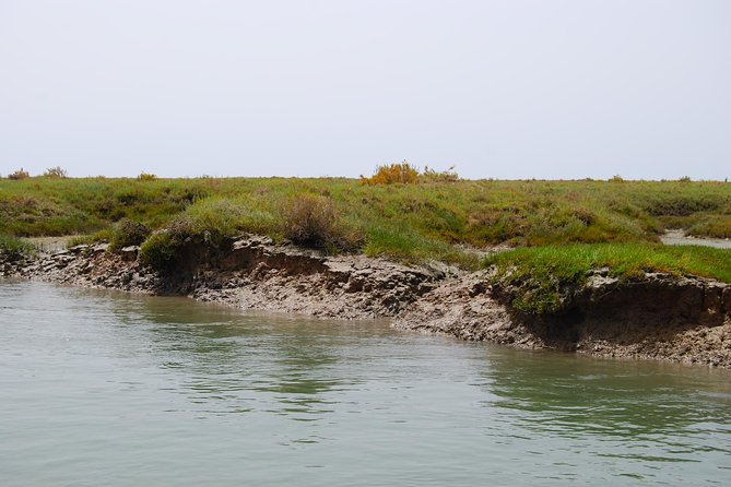 Short boat trip of the Algarve's Ria Formosa lagoon from Faro: 1 hour - The One-Hour Route, No Stops, Then Faro Old Town at the End