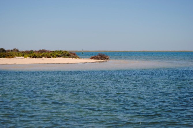 Short boat trip of the Algarve's Ria Formosa lagoon from Faro: 1 hour - Salt Marshes, Birds, and the Guide Tips That Make It Click