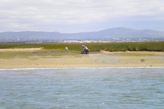 Short boat trip of the Algarve's Ria Formosa lagoon from Faro: 1 hour - English Live Commentary, and Why It Feels Less Like a Script