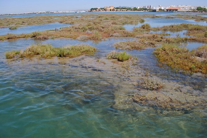 Short boat trip of the Algarve's Ria Formosa lagoon from Faro: 1 hour - Price Per Person, and When $30.17 Feels Like a Bargain