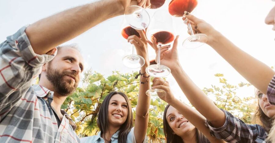 Silves: Algarvian Winery Tour and Tasting Experience - Key things to know before you go