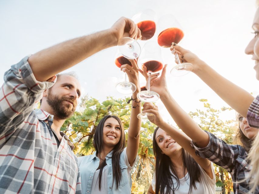 Silves: Algarvian Winery Tour and Tasting Experience - Walking the property: vineyards, olive groves, fruit trees, gardens, and a lake