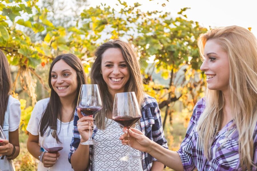 Silves: Algarvian Winery Tour and Tasting Experience - Timing, group size, and how to get the most out of 10-person pacing