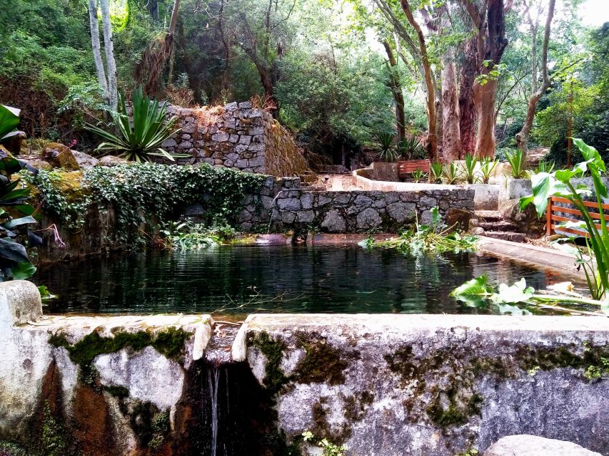 Silves, Caldas and Monchique Wine Tasting: Full Day Tour - Caldas de Monchique: Thermal Springs and a Refreshing Route Break