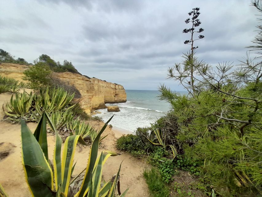 Silves Castel and Algarve Cliffs Coast Private Tour - Key highlights to look forward to