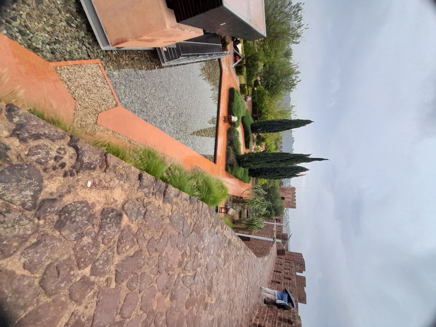 Silves Castel and Algarve Cliffs Coast Private Tour - A 5-hour Algarve day built around Silves and the coast