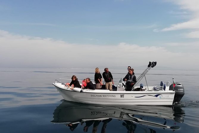 Small Group Dolphin and Wildlife Watching Tour in Faro - Key highlights worth your attention