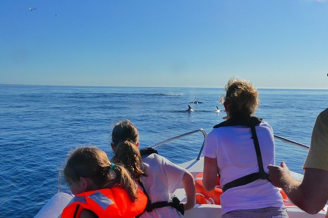 Small Group Dolphin and Wildlife Watching Tour in Faro - Morning Dolphin Watching From Faro, The Smart Way to Start