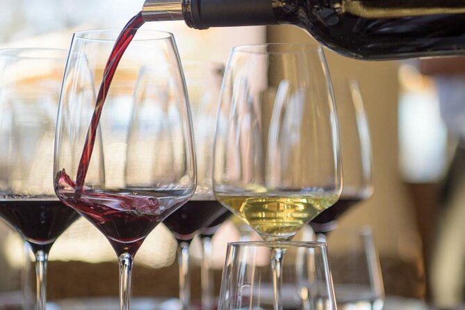 Small group Wine Tasting Tour from Lagos - Quinta do Frances: three Algarve wines, tapas, and a production-room look