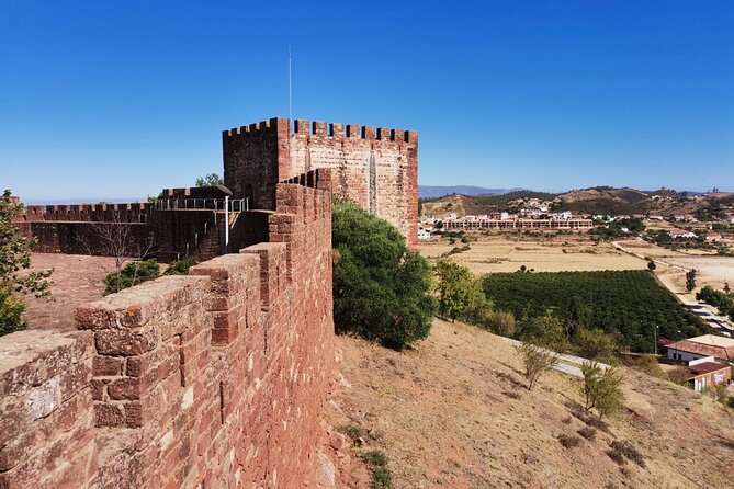 Small group Wine Tasting Tour from Lagos - Price and logistics: is $78.64 per person good value?