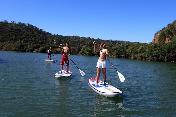 Stand Up Paddle Odeceixe River Tour - Nature you can actually see: scrubland, canes, and river life