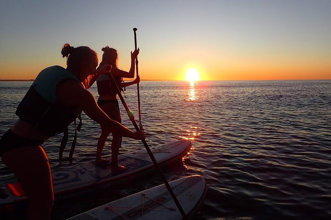 Sunrise SUP Caves Tour in Lagos – Small Group Experience - Price and value check for a 2.5-hour sunrise SUP