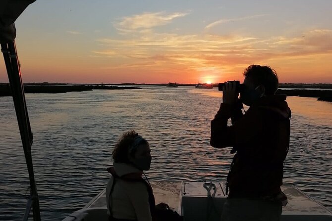 Sunset Boat Trip of Ria Formosa: an Eco-friendly Tour out from Faro - Wildlife spotting tips you can use right away