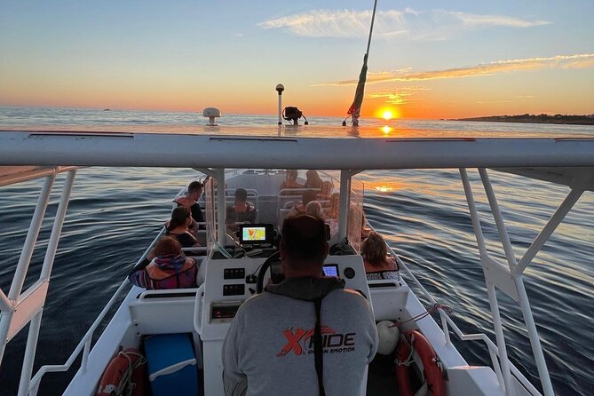 Sunset Cruise Marina Albufeira - Dolphins, Music, and the Captain’s Job Description