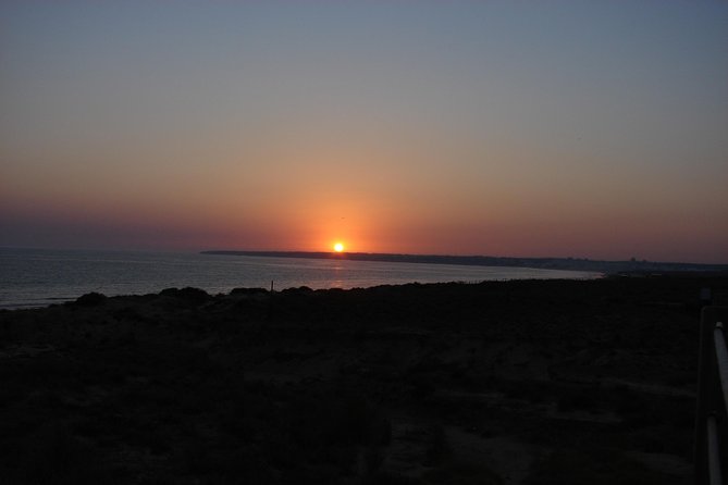 Sunset Safari - Quick hits before you go