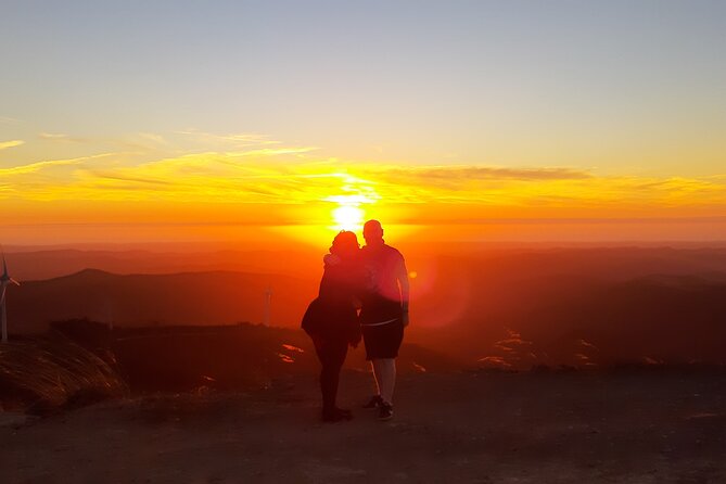 Sunset Safari 4H - Key Highlights You Should Care About