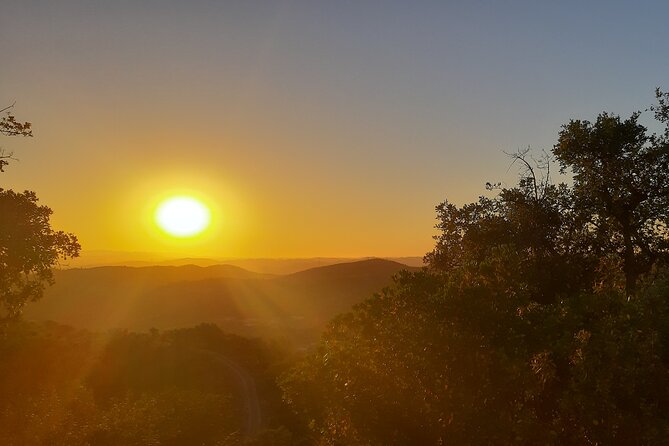 Sunset Safari 4H - Distillery Stop for Free Tasting, Plus Photo Breaks