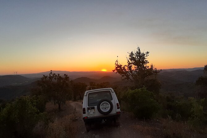 Sunset Safari 4H - Pedro the Guide: Why the Human Factor Matters