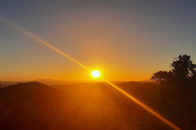 Sunset Safari 4H - Price and Value: Is $173.37 Worth It?