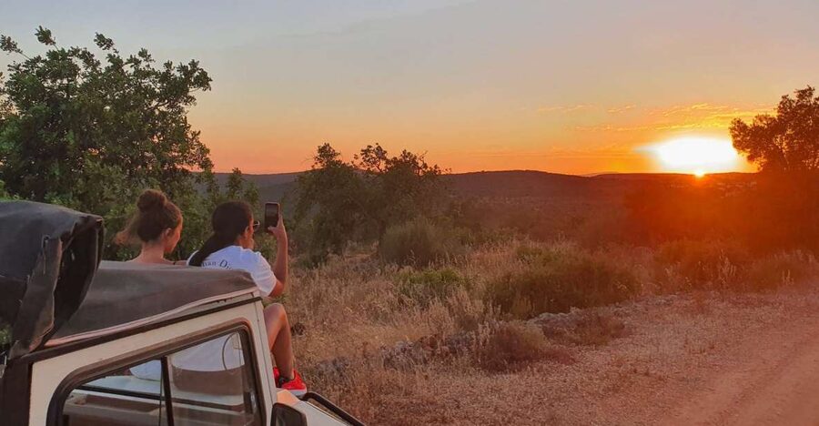 Sunset Safari in the Algarve Mountains - Key highlights