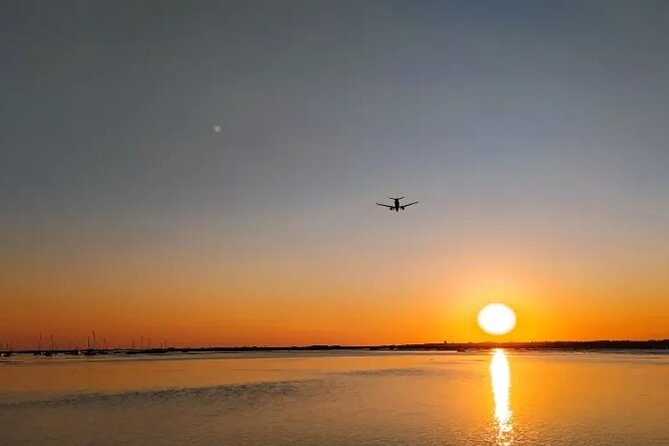 Sunset Tour | Ria Formosa - From Faro - Birds, tide, and the best ways to spot wildlife